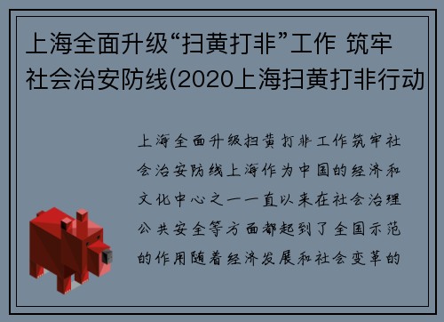上海全面升级“扫黄打非”工作 筑牢社会治安防线(2020上海扫黄打非行动)